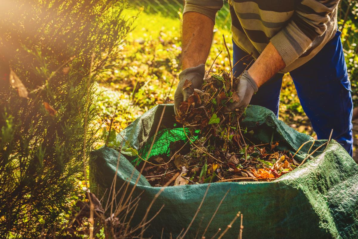 A bag of yard cleanup waste