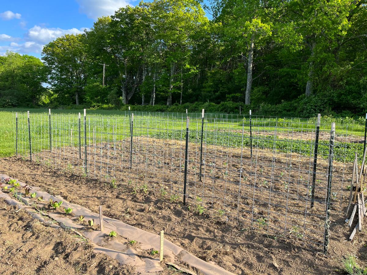 15 Great Ways To Reuse Old Potting Soil