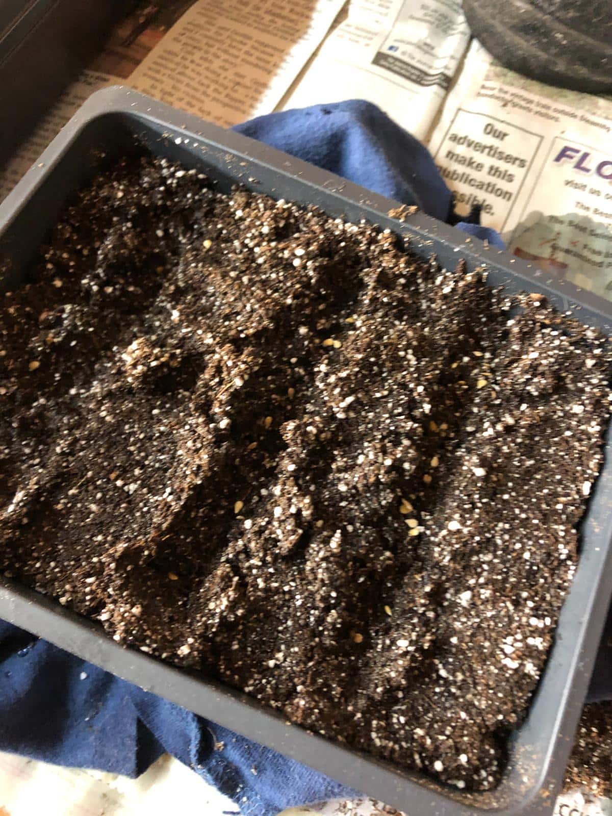 Old potting soil