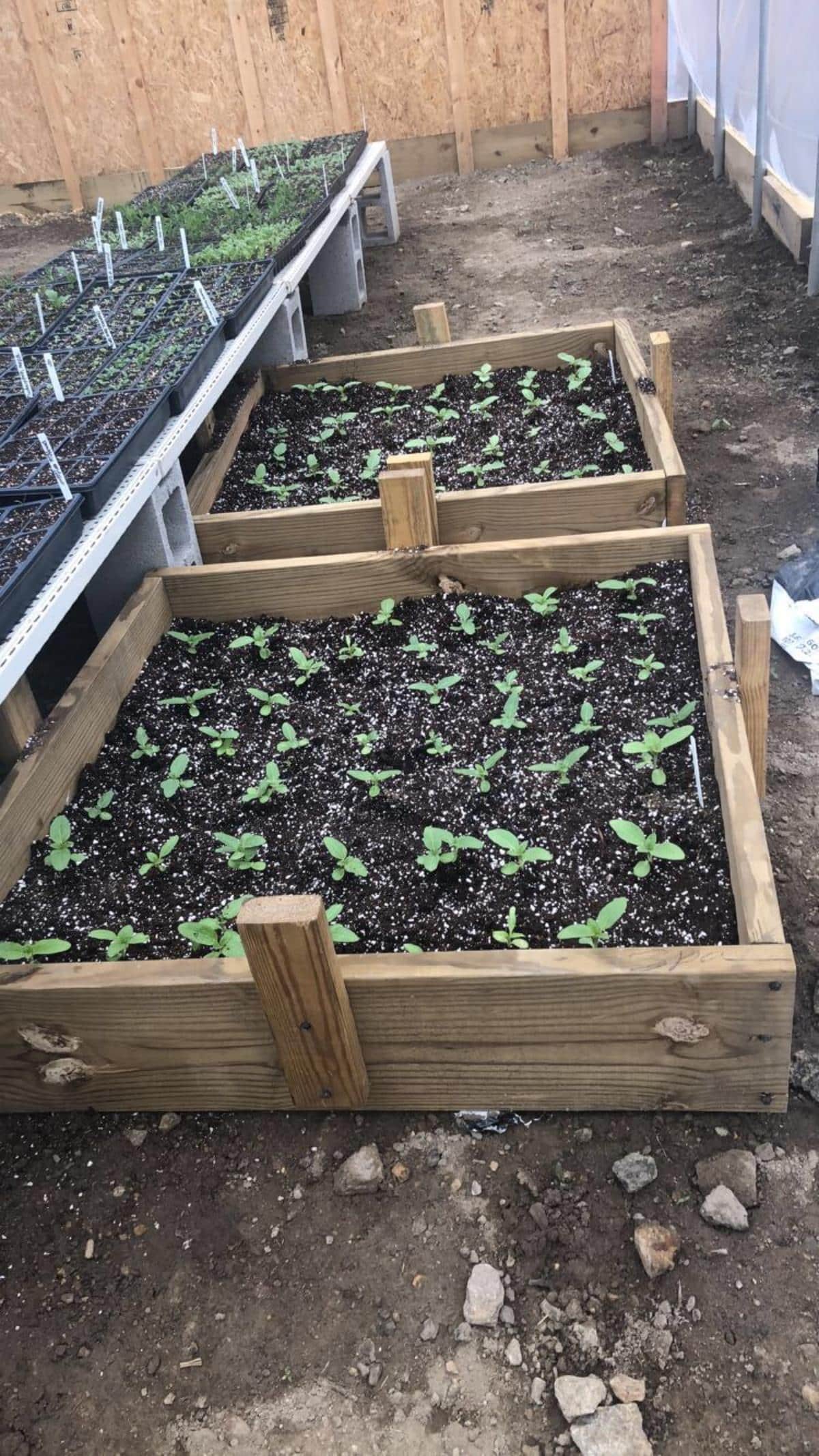 15 Great Ways To Reuse Old Potting Soil