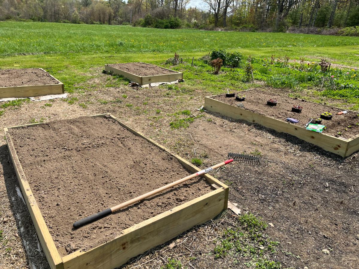 Topping up soil in raised beds