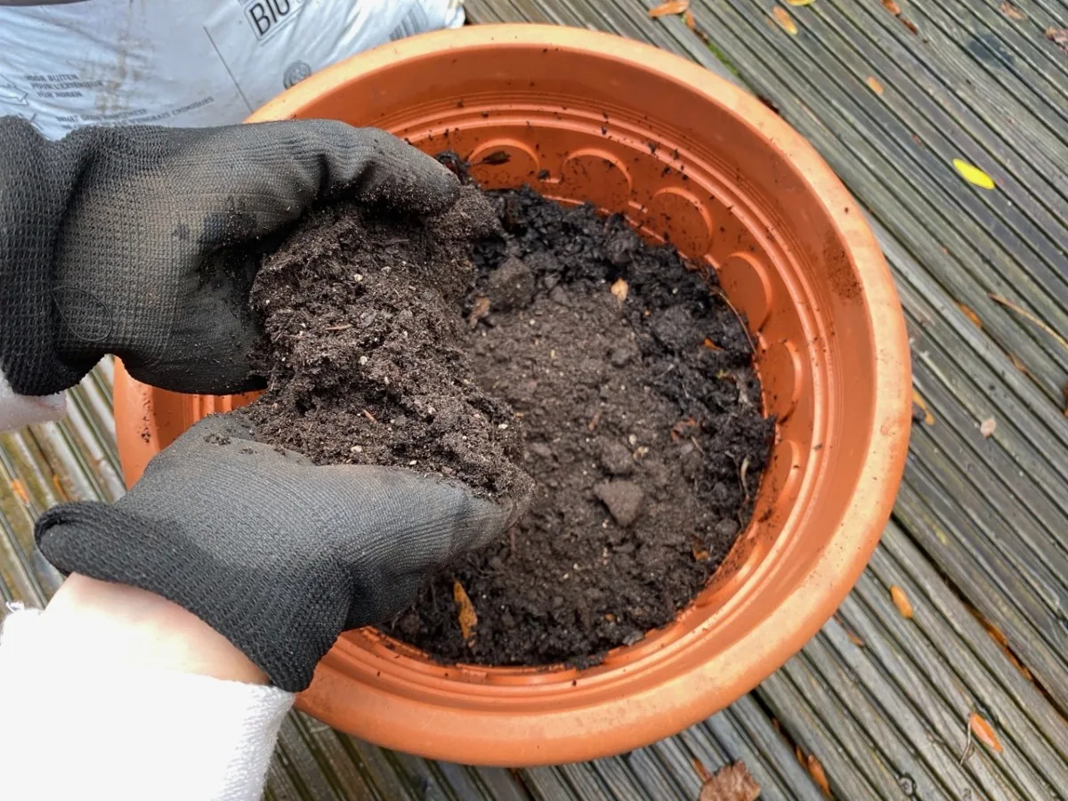 8 Uses For Old Potting Soil (+ 2 Things You Should Never Do With It)