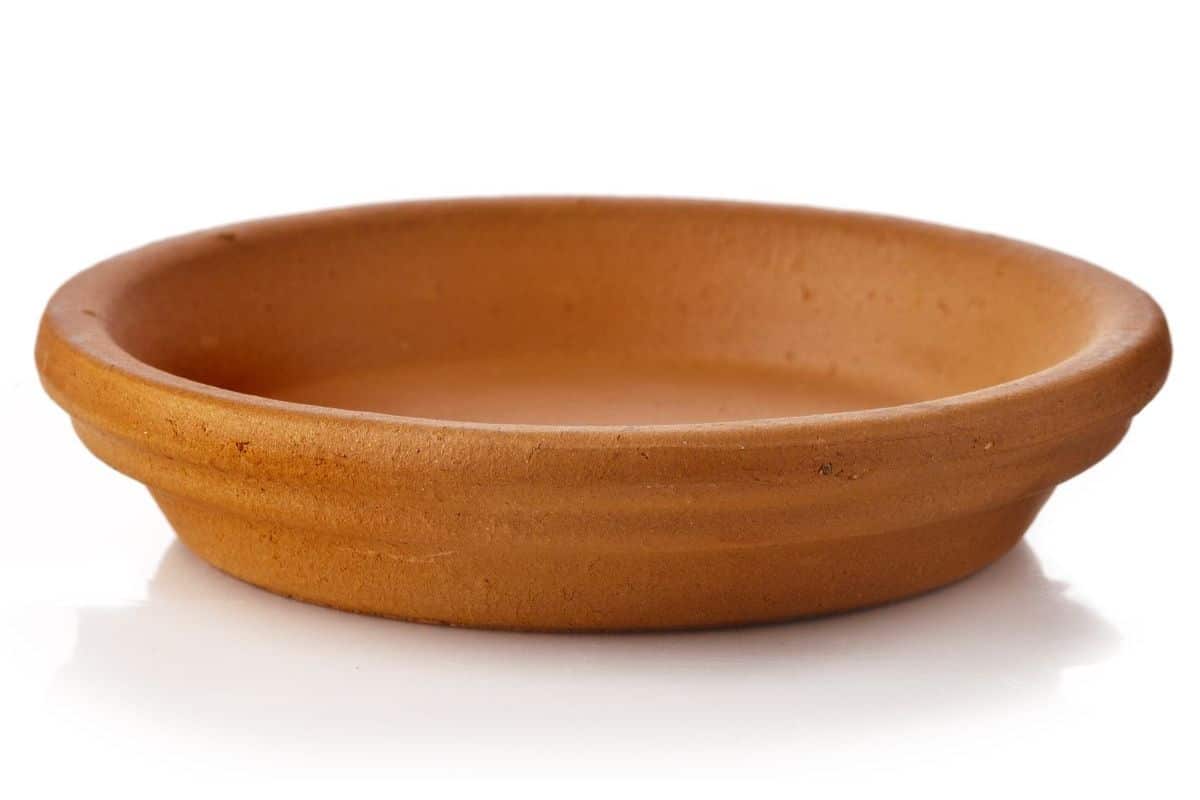 A terra cotta brown clay plant saucer.