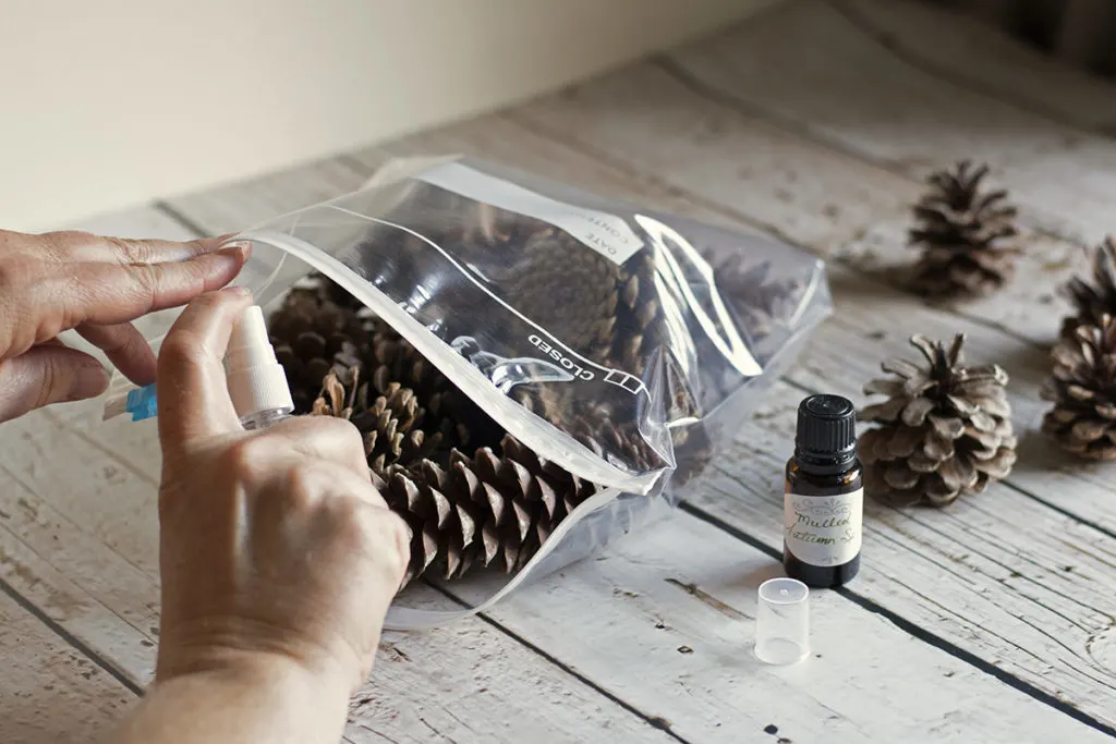 Using Pine Cones Around the Home