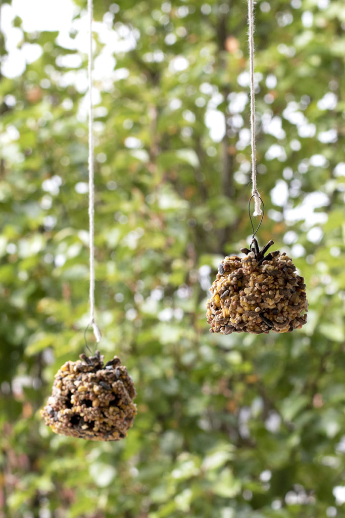 Using Pine Cones Around the Garden