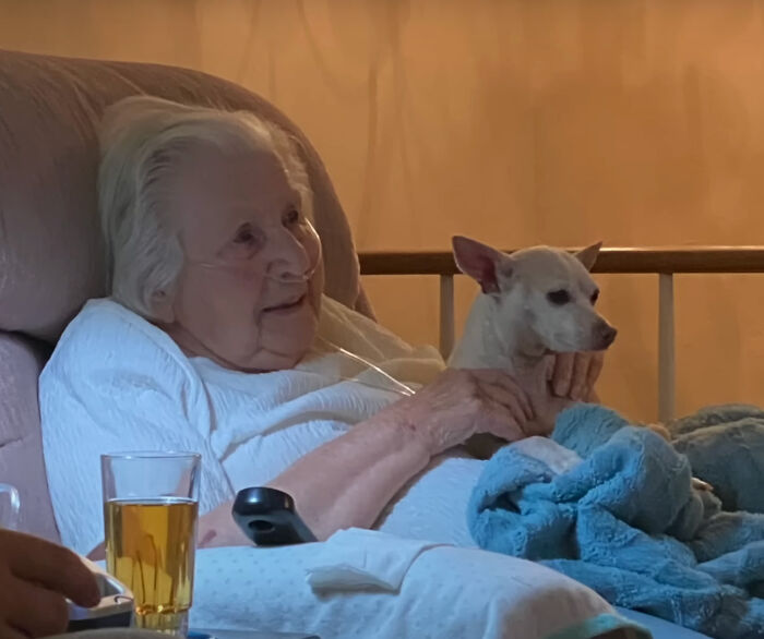 “Gucci Brought Joy Into The House”: Unwanted 11 Y.O. Dog Adopted By 100 Y.O. Woman