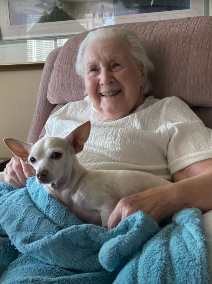 “Gucci Brought Joy Into The House”: Unwanted 11 Y.O. Dog Adopted By 100 Y.O. Woman