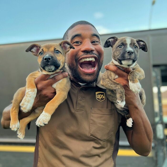 UPS Delivery Man Makes A Point Of Greeting Every Dog He Encounters (New Pics)