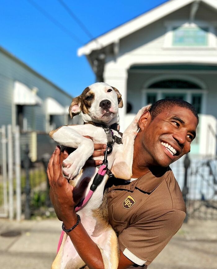 UPS Delivery Man Makes A Point Of Greeting Every Dog He Encounters (New Pics)