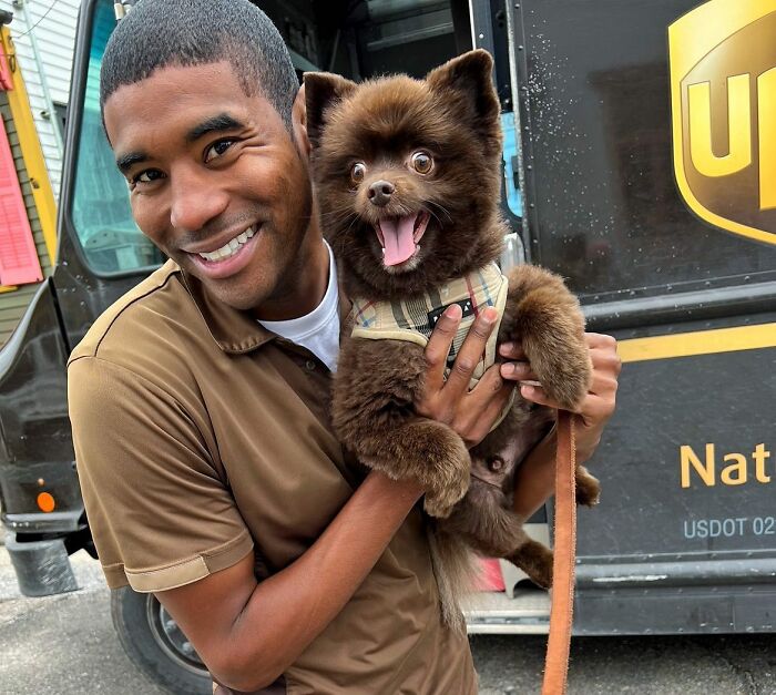 UPS Delivery Man Makes A Point Of Greeting Every Dog He Encounters (New Pics)