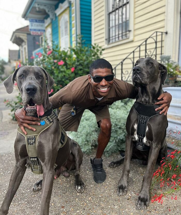 UPS Delivery Man Makes A Point Of Greeting Every Dog He Encounters (New Pics)