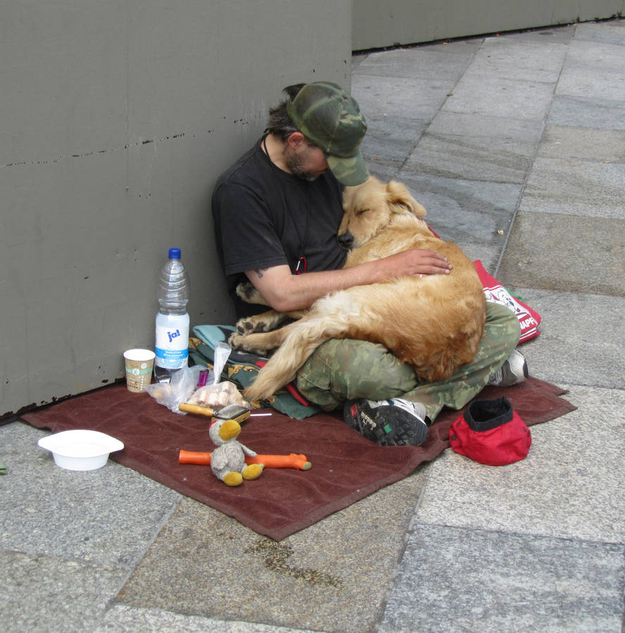 La fedeltà incrollabile di un cane devoto